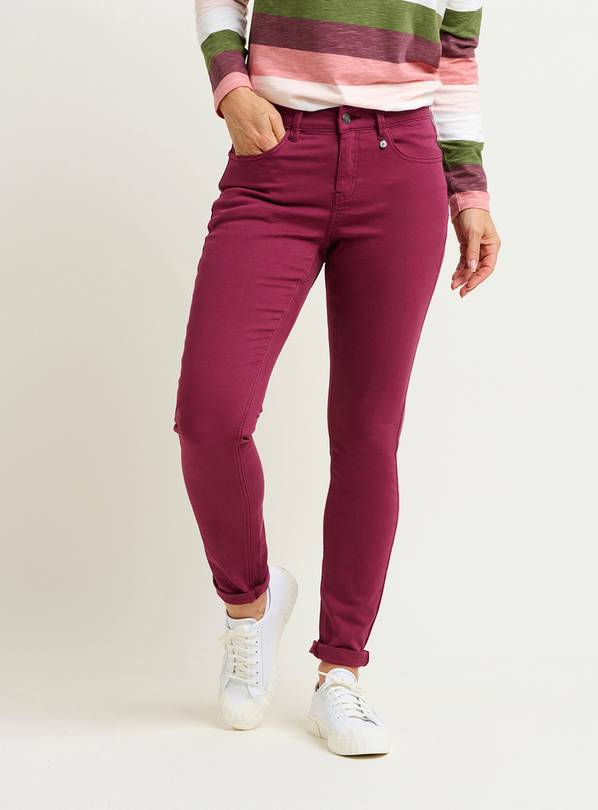 BRAKEBURN Winter Dianthus 16